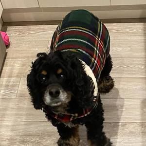 Meet your Posher, Kelly